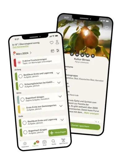App Vorschau