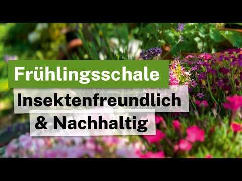 Bunte Frühlingsstauden in der Pflanzschale: Insektenfreundlich & Nachhaltig! 🌸🐝