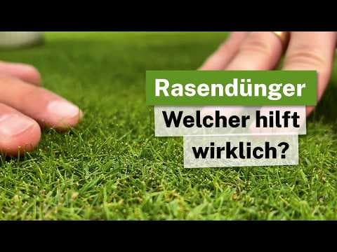 Rasen richtig düngen: Welcher Dünger WIRKLICH hilft!