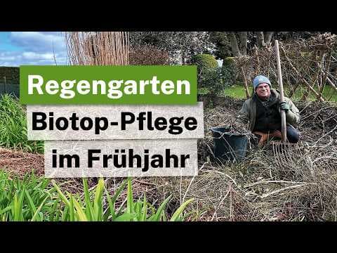 Regengarten & Sickergrube: Der Frühjahrsputz im Feuchtbiotop! 🌿💧