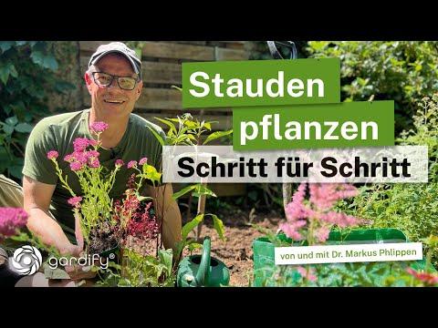 Stauden pflanzen! Die Schritt für Schritt Anleitung! Für Sonne und Halbschatten. Mulch: Gartenfaser