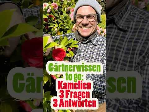 Kamelien-Check: Auspflanzen, Schneiden & Düngen! 🌸✨