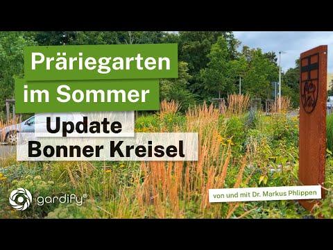 Stauden für Extremstandorte: Hitzefest & Wunderschön! Bonn macht's vor: Nachhaltige Stadtbegrünung!