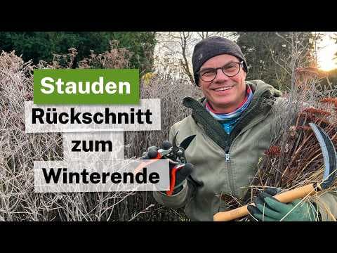 Stauden richtig zurückschneiden: Der perfekte Zeitpunkt & Tipps für den Winterende-Schnitt! ✂️🌱