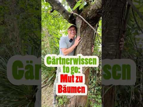 Keine Angst vor großen Bäumen! Schmaler Garten wird zum Hitzeschutz 🌳✨