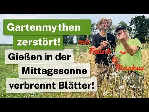 Gießen in der Mittagssonne VERBRENNT Blätter? ☀️💧 GARTENMYTHEN ZERSTÖRT #1 mit Markus & Frank!