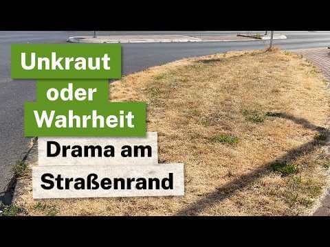 Tödlicher Ordnungswahn: Warum falsches Mähen Insekten & Natur zerstört! 🚜❌